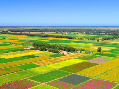 智慧灌區信息化系統助力灌區節水，打造綠色生態新農業