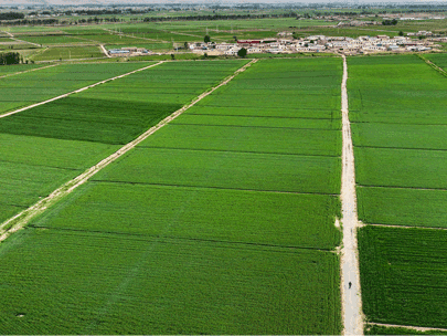 如何選擇一款經濟高效的以電折水設備?