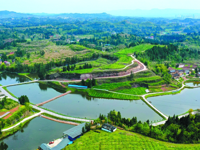 政策解讀丨2025中央一號文件中,涉及的水利內容有哪些?